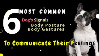 #dogsvideos The most common body language #signals . #behavior #psychology #communication #vídeos by BreedSpot - Spotting the best dog breeds 102 views 6 months ago 1 minute, 54 seconds