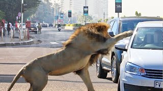 10 Most Dangerous Tourist Destinations ON EARTH!