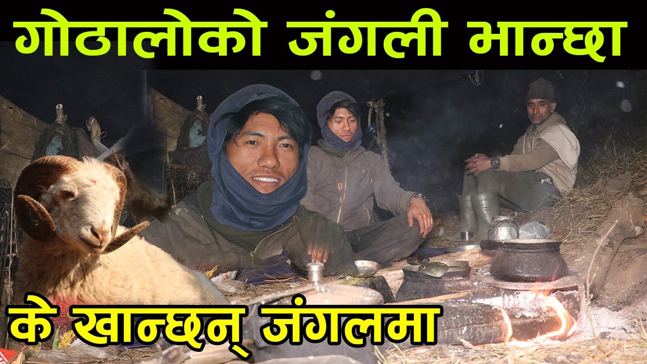 डरलाग्दो जंगलमा के खान्छन् गोठालो ? यसरी तयार भयो गोठालोको जंगली भान्छा ||kiranpaudel