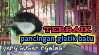 suara pikat glatik batu || pancingan handal glatik batu susah ngalas 2022