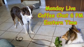 Lucky Dawg Monday Coffee Chat 6 Pm Eastern Time