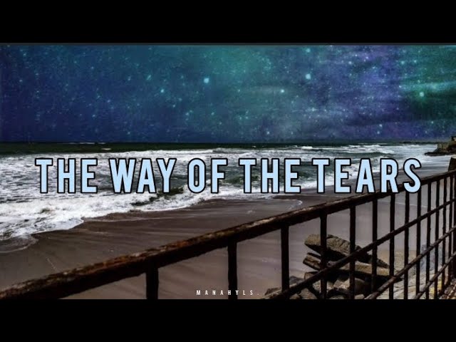 The Way Of The Tears (Slowed + Reverb) | Muhammad Al- Muqit | Manahyl S. class=