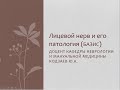 "Лицевой нерв и его патология (базис)" доцент кафедры неврологии и мануальной медицины Кодзаев Ю.К.