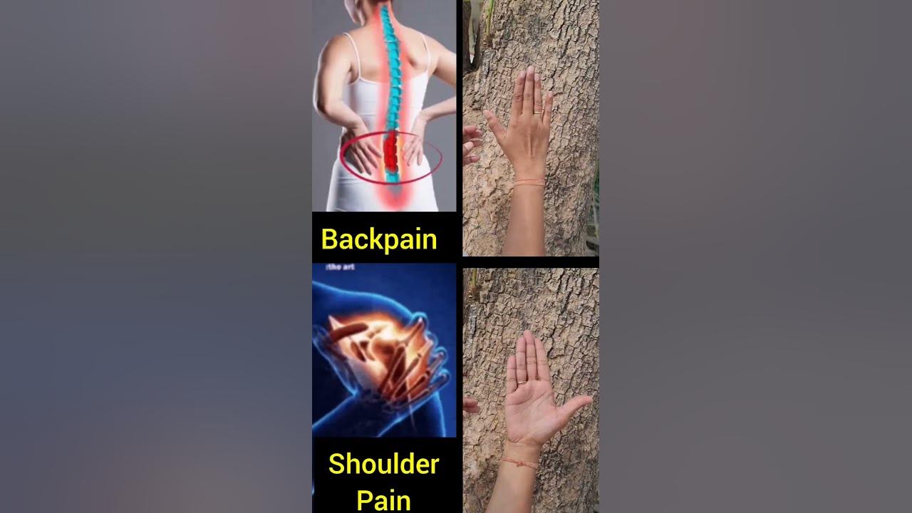 Powerful Mudras #yoga #mudra #shoulder #backpain #problem #yogapose #ytshorts #viralvideo #trending
