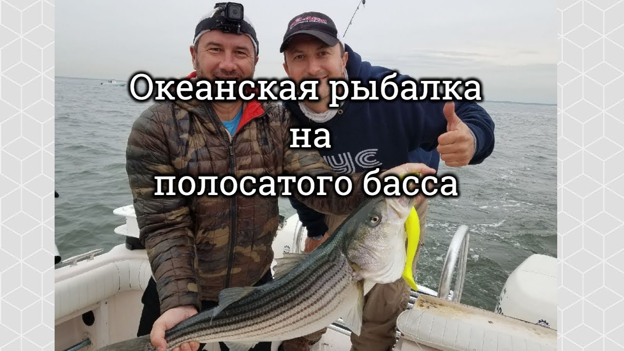 Океанская рыбалка на полосатого басса.