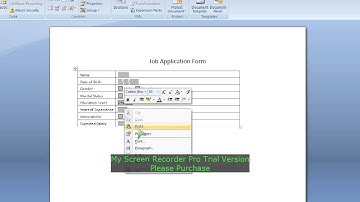Advanced MS Word 2007 - Creating User Form
