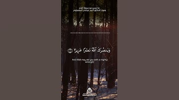 ما تيسر من سورة الفتح بصوت الشيخ أحمد عيسي المعصراوي#احمد_عيسي_المعصراوي #القرآن_الكريم