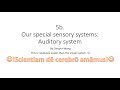 HKBB101 | 5b | Our special sensory systems: auditory system