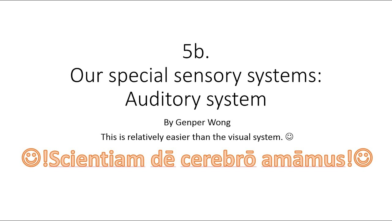 HKBB101 | 5b | Our special sensory systems: auditory system