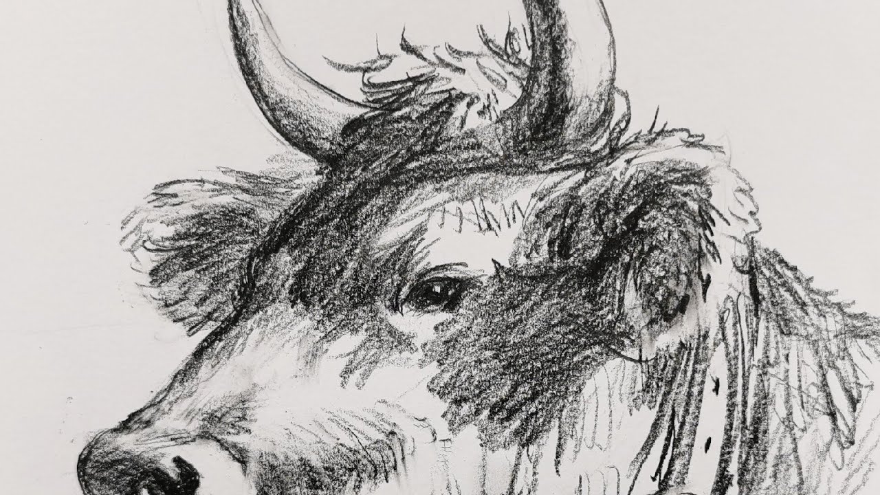 土牛素描　大型本 土人教画】564 素描动物大象terrain art class sketch elephant