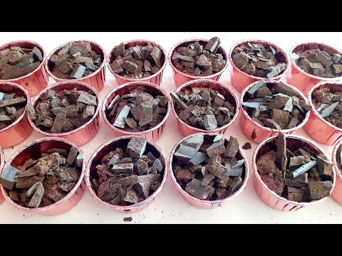 ვიდეო: თხილი სააღდგომო მწარე შოკოლადით