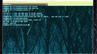 How to run a .sh file in Linux