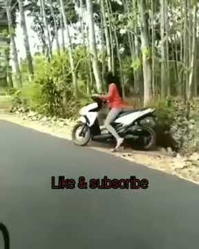 Kepergok mesum  di hutan