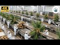 Inside the Largest US Factory: From Fresh Coconut to Premium Sweet Candy (Full Process)