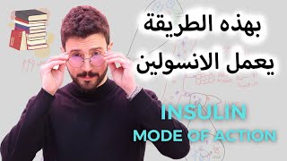 شرح طريقة عمل الانسولين داخل الجسم (Insulin mechanism of action)