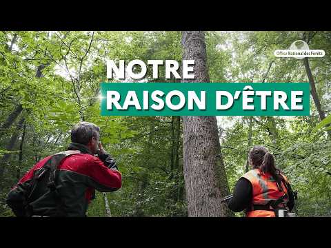 The purpose of the National Forestry Office (ONF)
