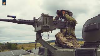 Forças Armadas Portuguesas no Teatro de Operações da Roménia