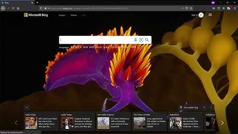 Open redirect ( URL redirect )