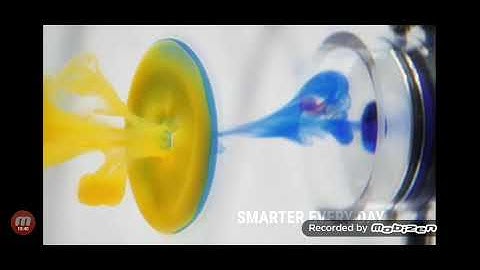 Ring Vortex Interaction
