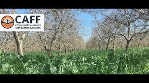 Cover Cropping in Orchards: Seed Selection webinar