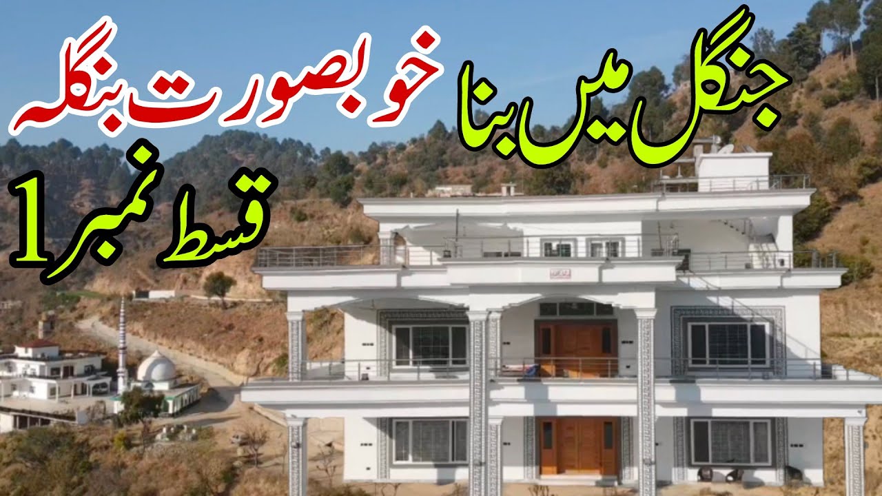 Beautiful bungalow in the forest|Haji Mohammad Rasheed House Dongi ...
