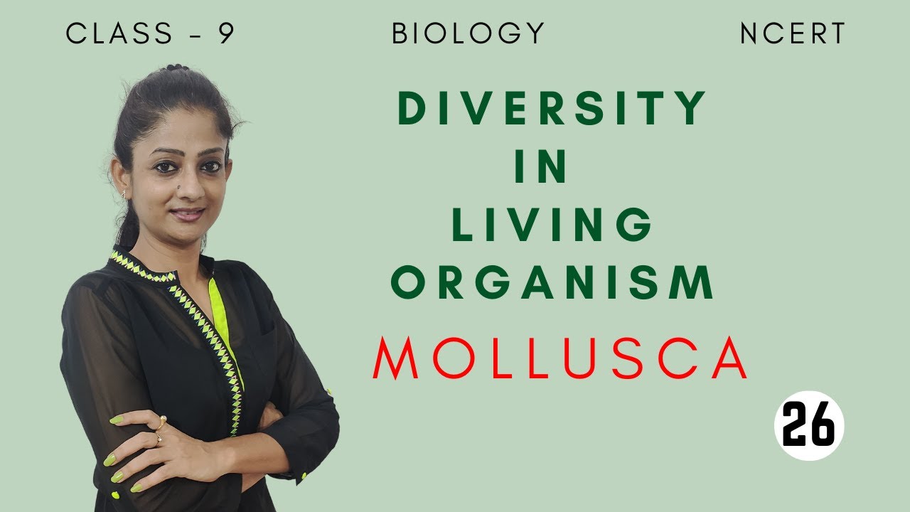 Phylum - Mollusca | Diversity in living organisms | Class 9 | Biology ...