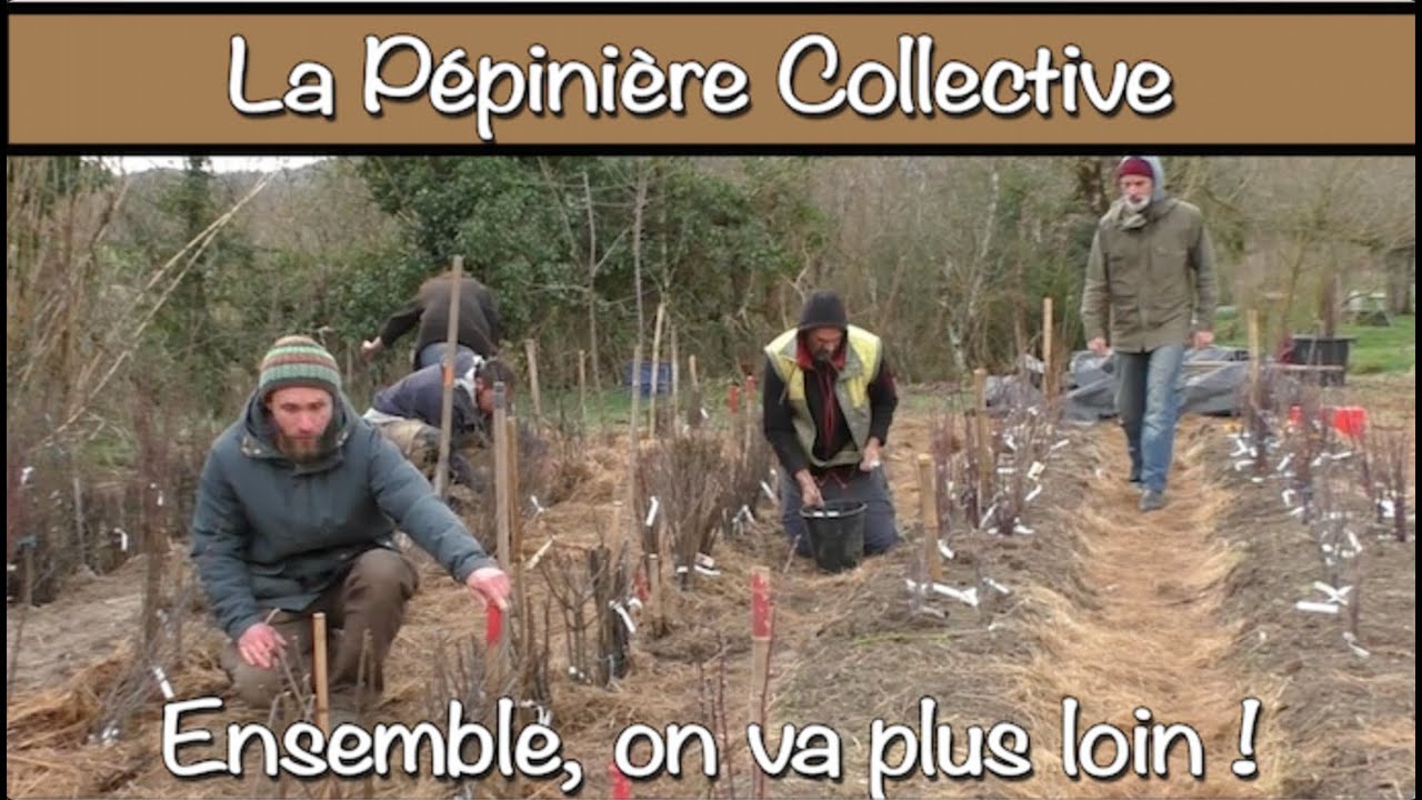 La Pépinière Collective, avec Laurent Welsch & Cie
