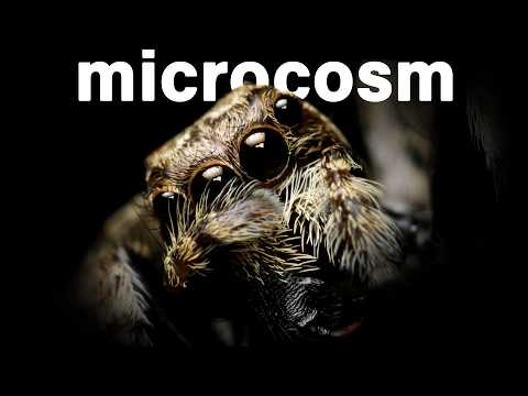 The Secret Microcosm