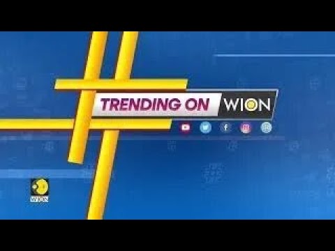 Trending on WION: ‘Blood bath’ begins at Twitter as employees across verticals laid off in India