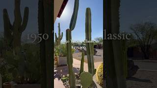 1950s Historic Tucson Home Tour | What can under $460K get you near the University of Arizona?