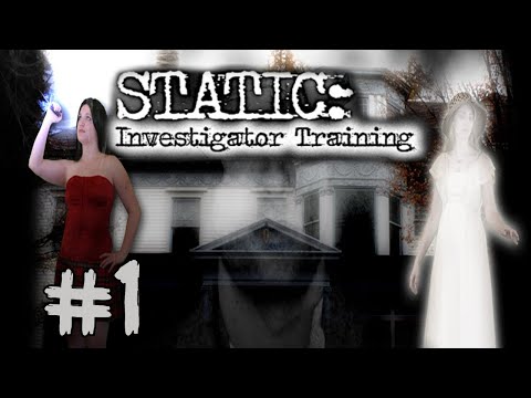 Interrogating A Fly - STATIC: Investigator Training - PART 1 - Bit By Bit