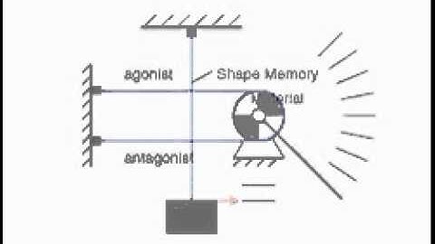 Shape-Memory Actuators