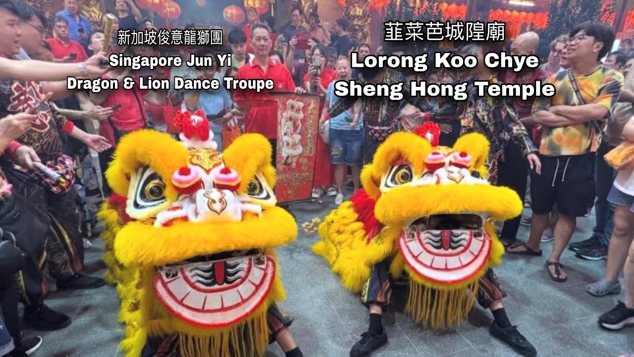 新加坡俊意龍獅團  Singapore Jun Yi Dragon & Lion Dance Cai Qing Performance at 韮菜芭城隍廟 20 Feb 2026