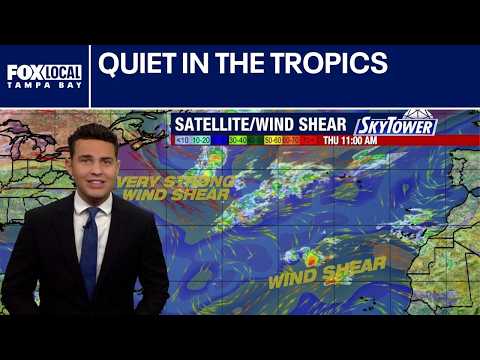 Quiet in the tropics