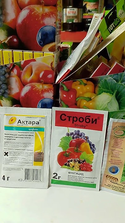 актара+строби+циркон=баковая смесь( от тли, белокр., ржавчина ...