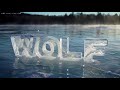 How to create High Quality Videos using Google Veo2 and n8n Workflow + Telegram Bot (free template)