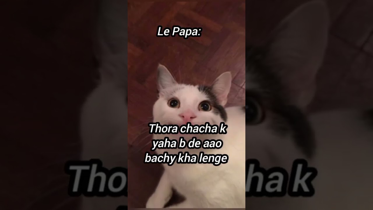 4 pieces of cake 🍰😂👍