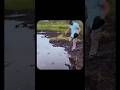These are Amazing Video