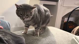 Download Lagu Tucketh MP3