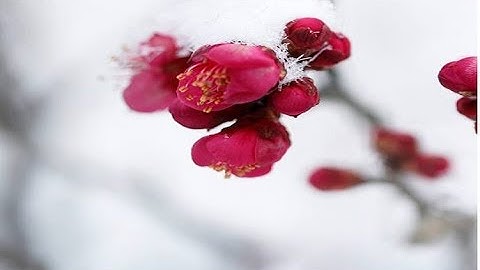 تلاوه مباركه من سورة إبراهيم \ الشيخ عبد العزيز حربي رحمه الله