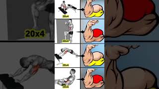 Full body biceps workout weightloss homeworkout bodybuilding diet cardio crossfit abs