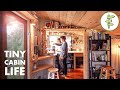 Couple living in a lowcost tiny cabin for more financial freedom