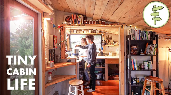 Couple Living in a Low-Cost Tiny Cabin for More Financial Freedom - DayDayNews