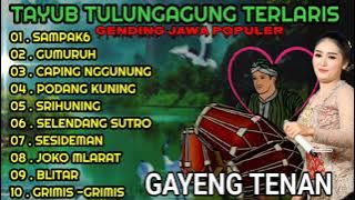 GENDING JAWA TERLARIS TAYUB TULUNGAGUNG TERPOPULER GAYENG TENAN COCOK KANGGE JOGETAN 