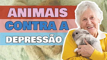 Como um animal pode ajudar na depressão?