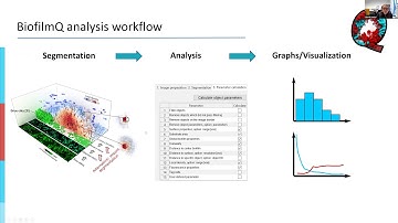 BiofilmQ hands-on tutorial 1: Introduction (I2K Workshop)