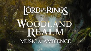 Lord of the Rings | The Woodland Realm of Mirkwood Music \u0026 Ambience, with @ASMRWeekly