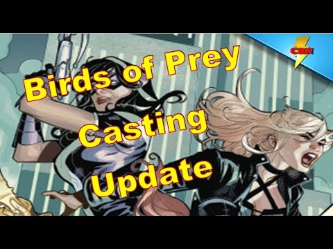 Birds of Prey Casting Update -  Huntress &  Black Canary