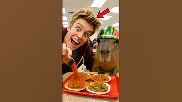 He Blamed Cappy for the Spicy Food… But Goes Wrong!🌶️🐾 #capywrangle