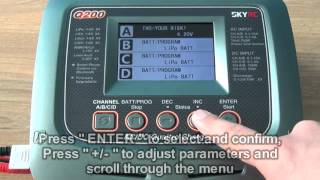 SKYRC Q200 Battery Memory Set